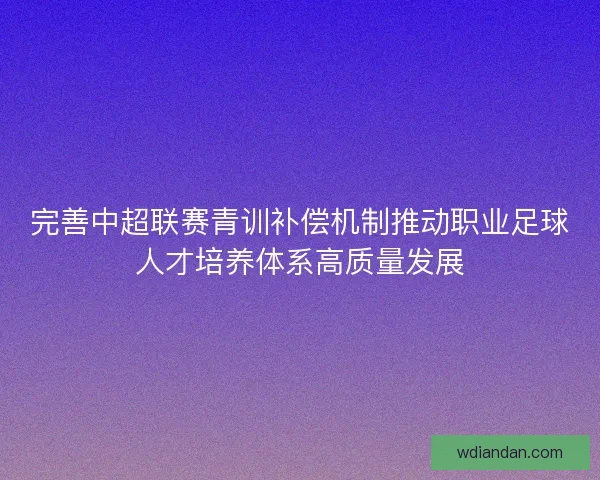 完善中超联赛青训补偿机制推动职业足球人才培养体系高质量发展