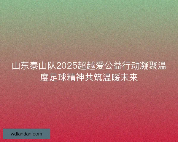山东泰山队2025超越爱公益行动凝聚温度足球精神共筑温暖未来