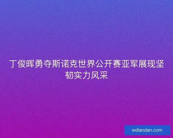 丁俊晖勇夺斯诺克世界公开赛亚军展现坚韧实力风采