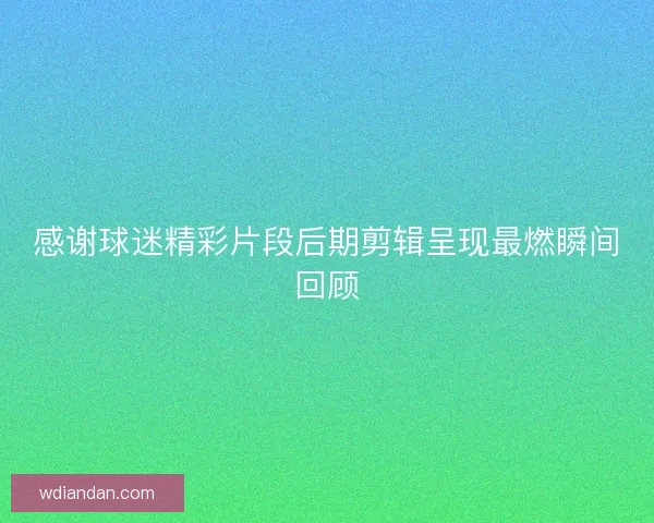 感谢球迷精彩片段后期剪辑呈现最燃瞬间回顾